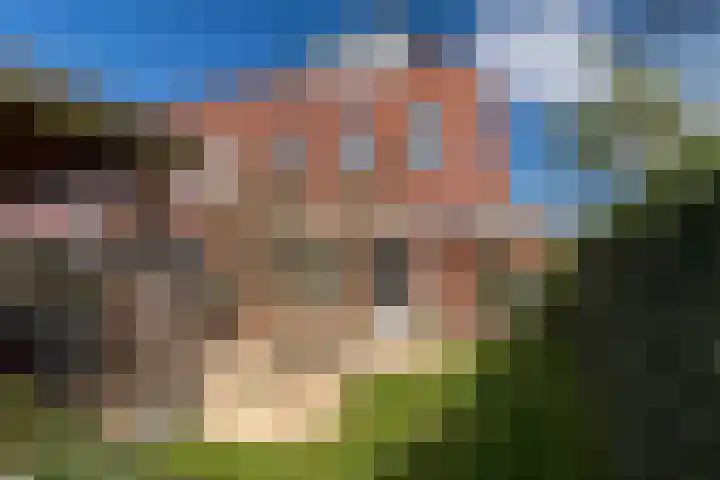 Leilat 69 Hooglanderveen thumbnail 36