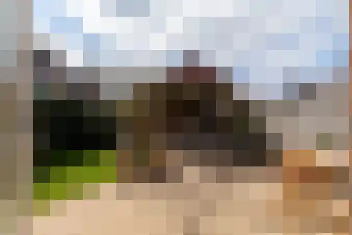 Leilat 69 Hooglanderveen thumbnail 36