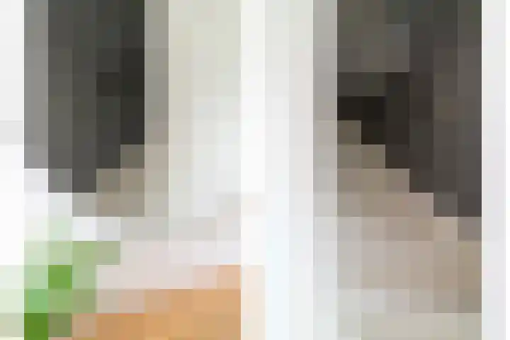 Leilat 69 Hooglanderveen thumbnail 4