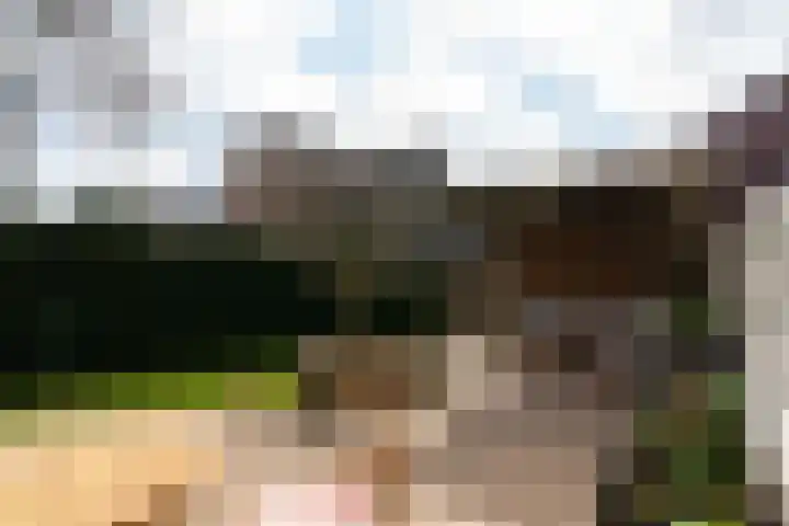 Leilat 69 Hooglanderveen thumbnail 39