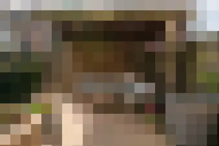 Leilat 69 Hooglanderveen thumbnail 40