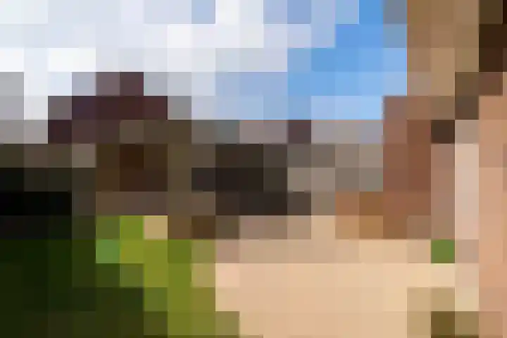 Leilat 69 Hooglanderveen thumbnail 42