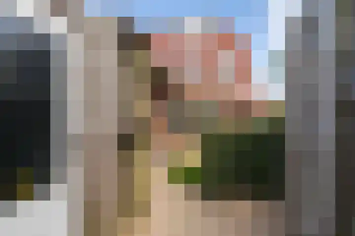 Leilat 69 Hooglanderveen thumbnail 43