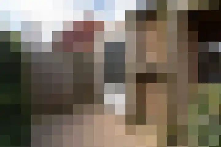 Leilat 69 Hooglanderveen thumbnail 44