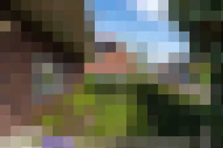 Leilat 69 Hooglanderveen thumbnail 45