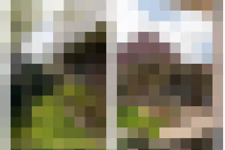 Leilat 69 Hooglanderveen thumbnail 46