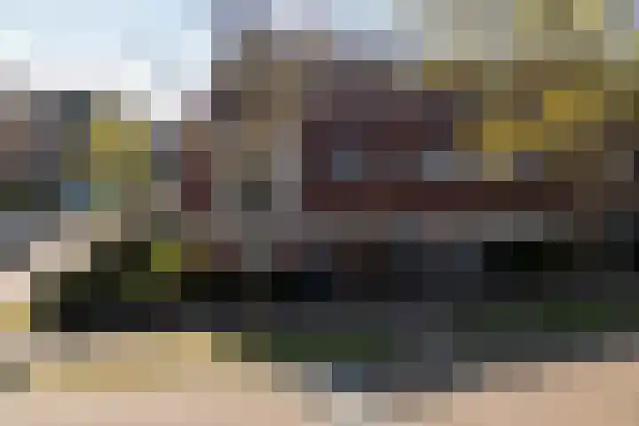 Leilat 69 Hooglanderveen thumbnail 47