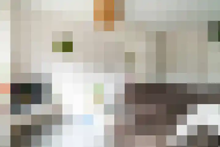 Leilat 69 Hooglanderveen thumbnail 6