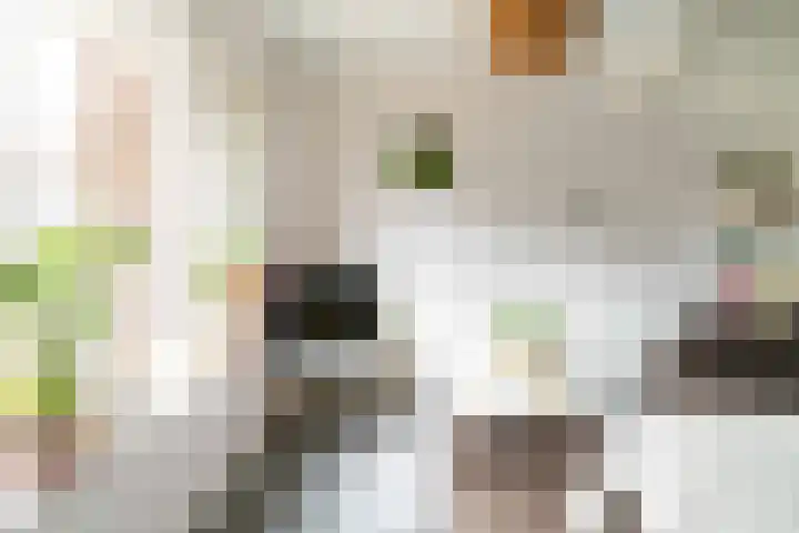 Leilat 69 Hooglanderveen thumbnail 7