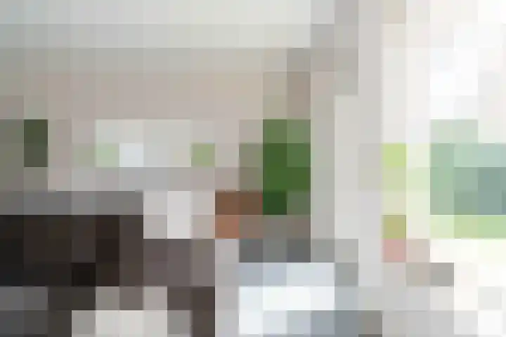 Leilat 69 Hooglanderveen thumbnail 8