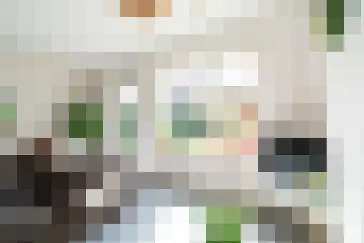 Leilat 69 Hooglanderveen thumbnail 9