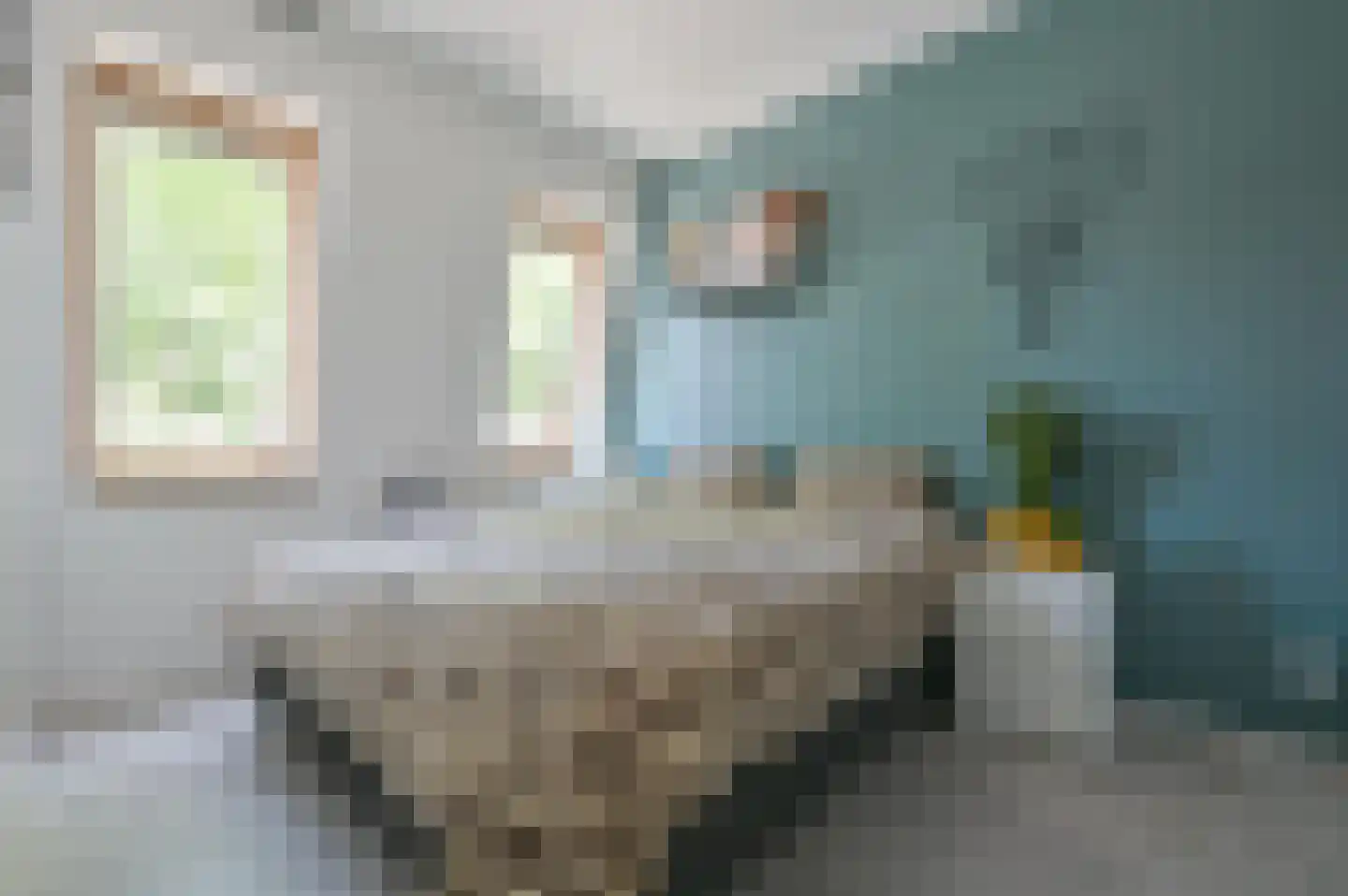 Leilat 73 Hooglanderveen thumbnail 12