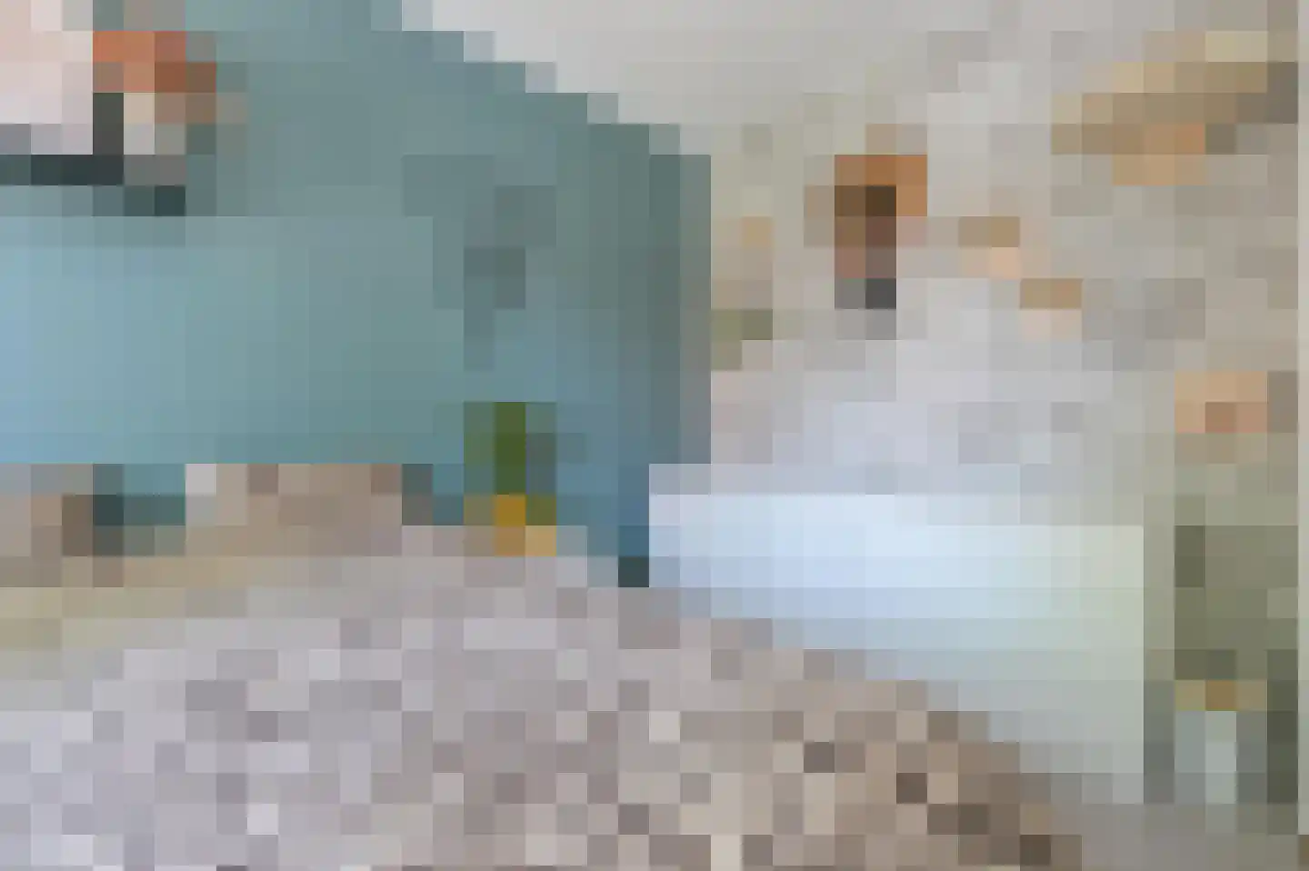Leilat 73 Hooglanderveen thumbnail 13