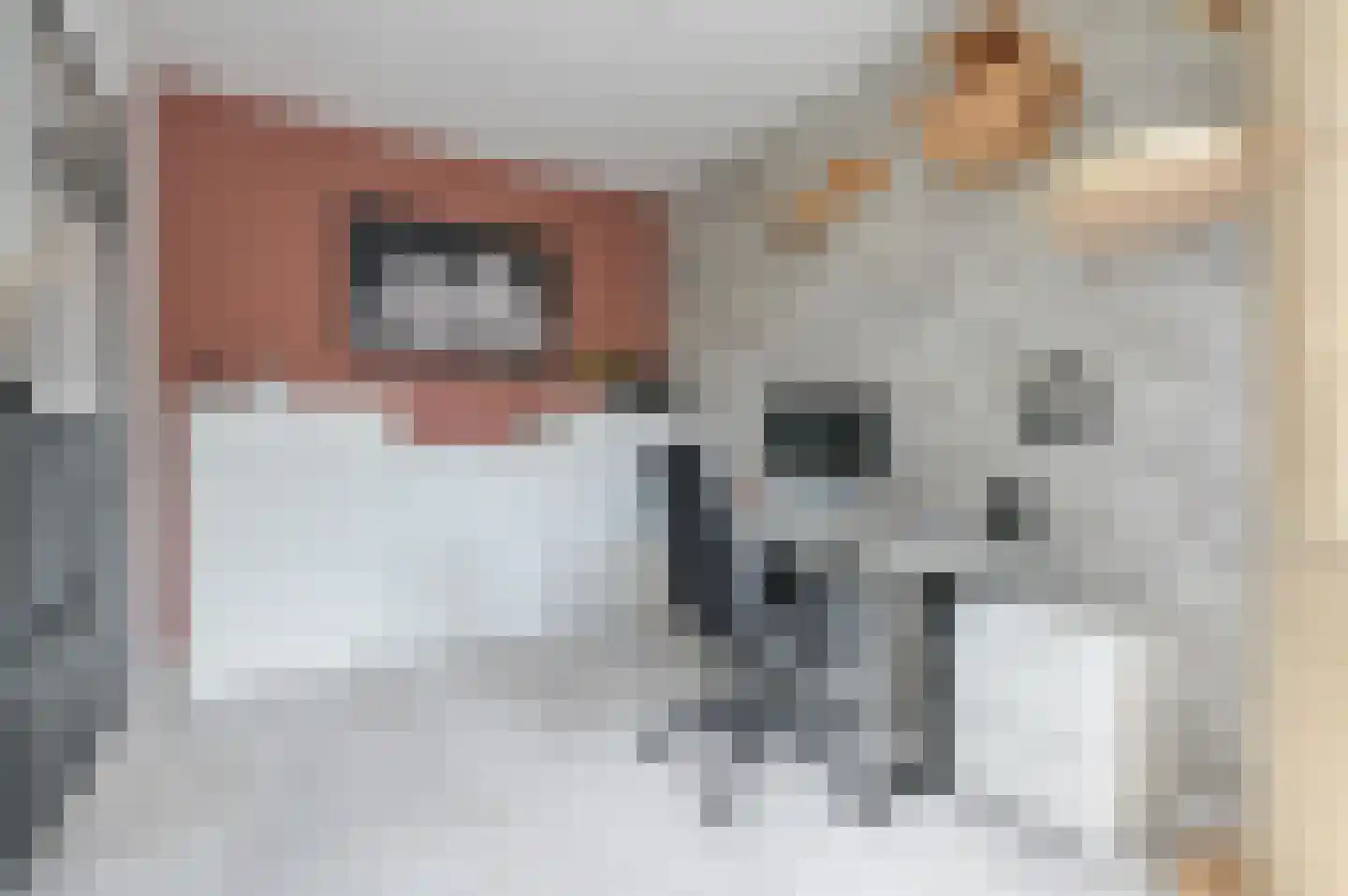 Leilat 73 Hooglanderveen thumbnail 14
