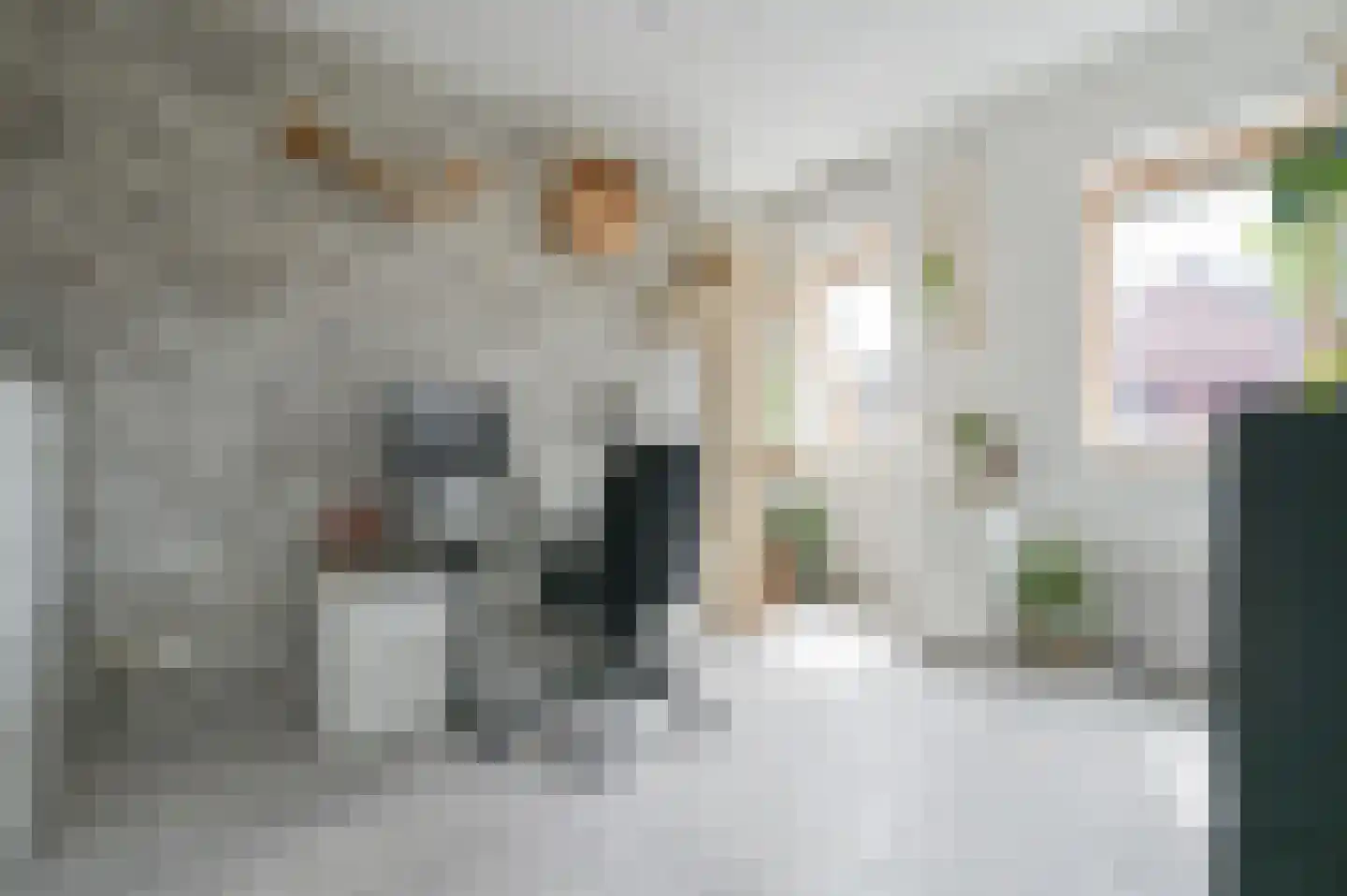 Leilat 73 Hooglanderveen thumbnail 15