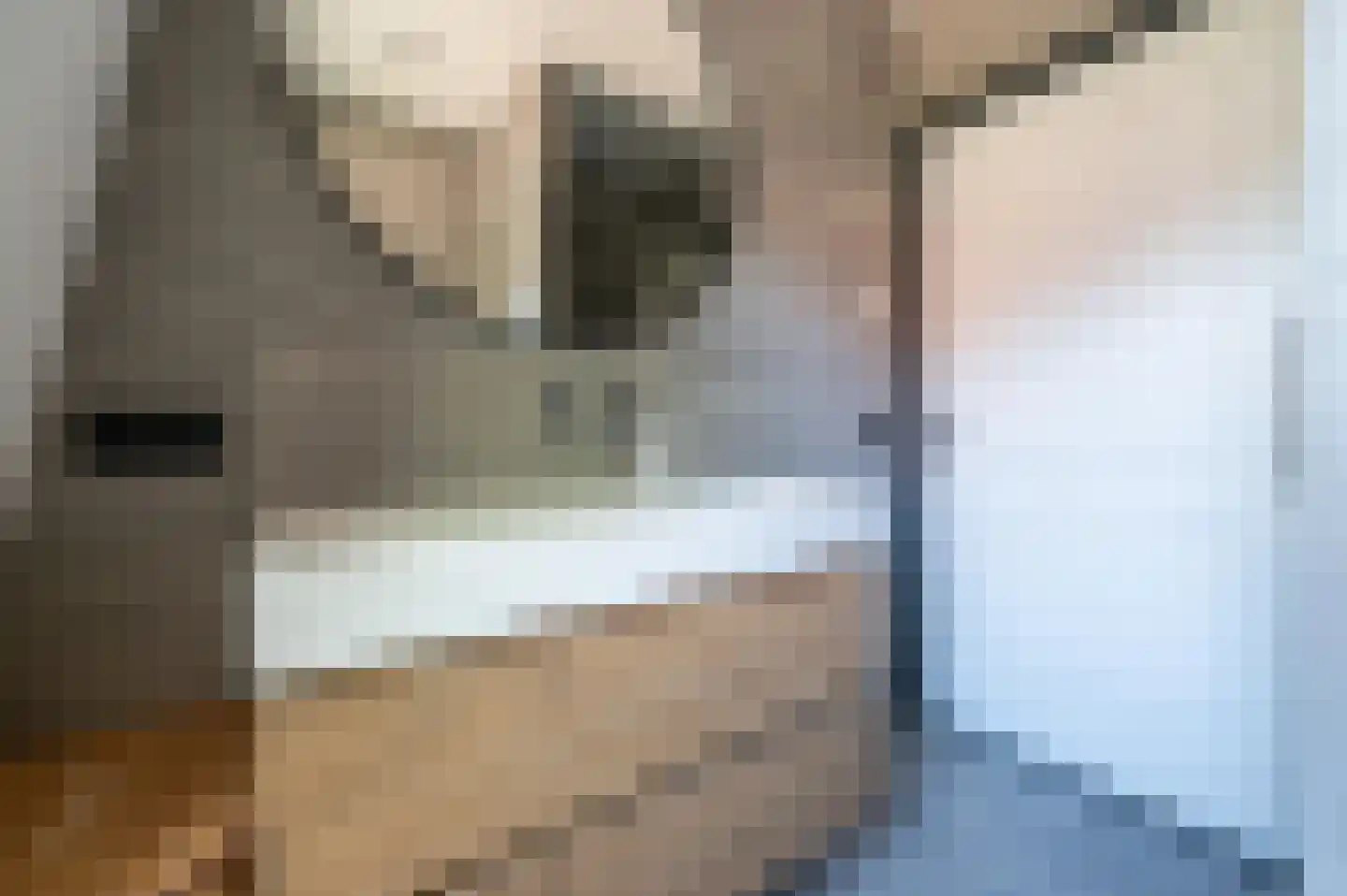 Leilat 73 Hooglanderveen thumbnail 18
