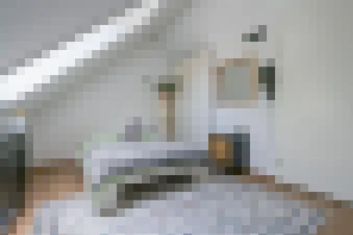 Leilat 73 Hooglanderveen thumbnail 22