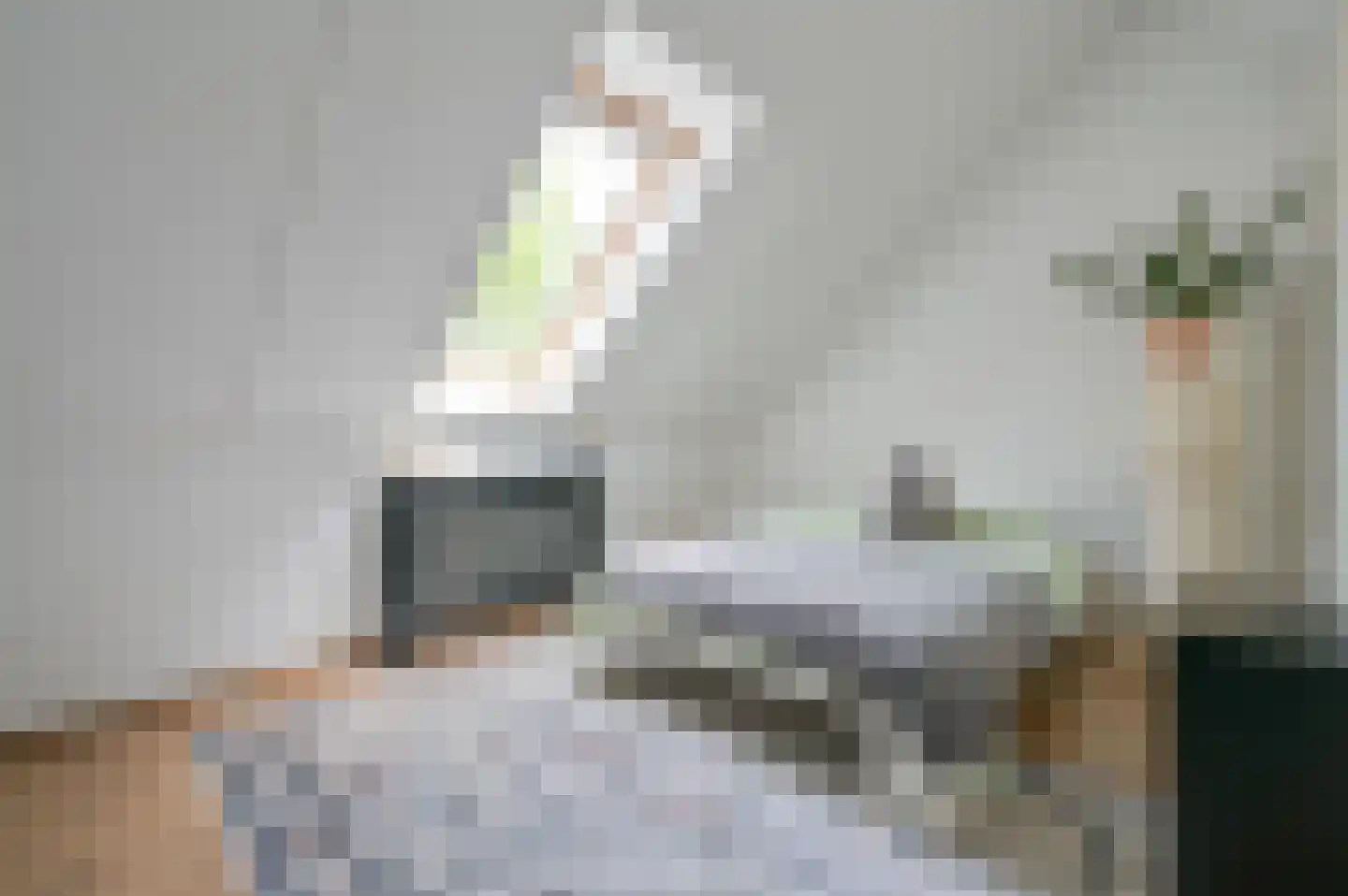 Leilat 73 Hooglanderveen thumbnail 23