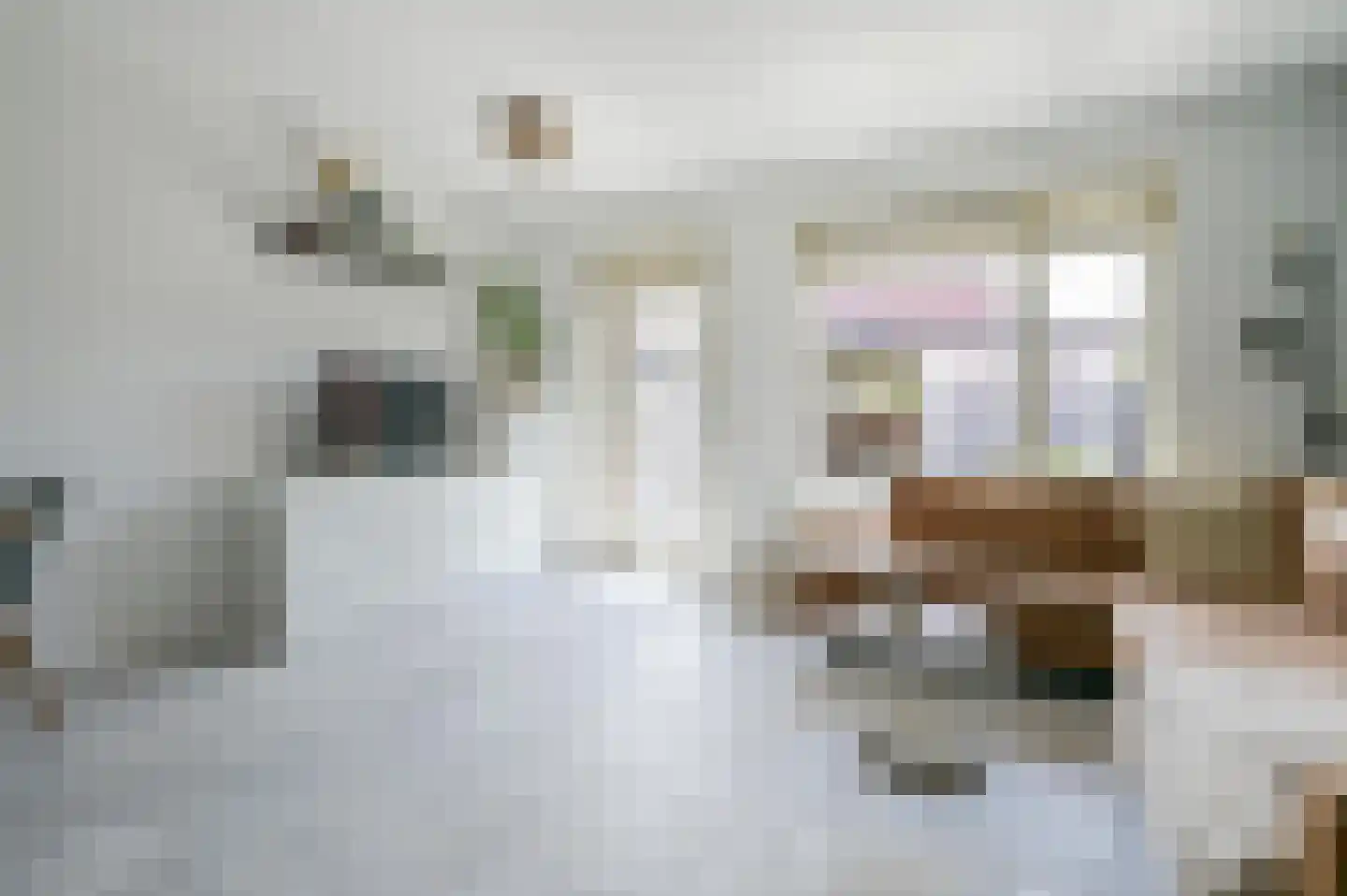 Leilat 73 Hooglanderveen thumbnail 5