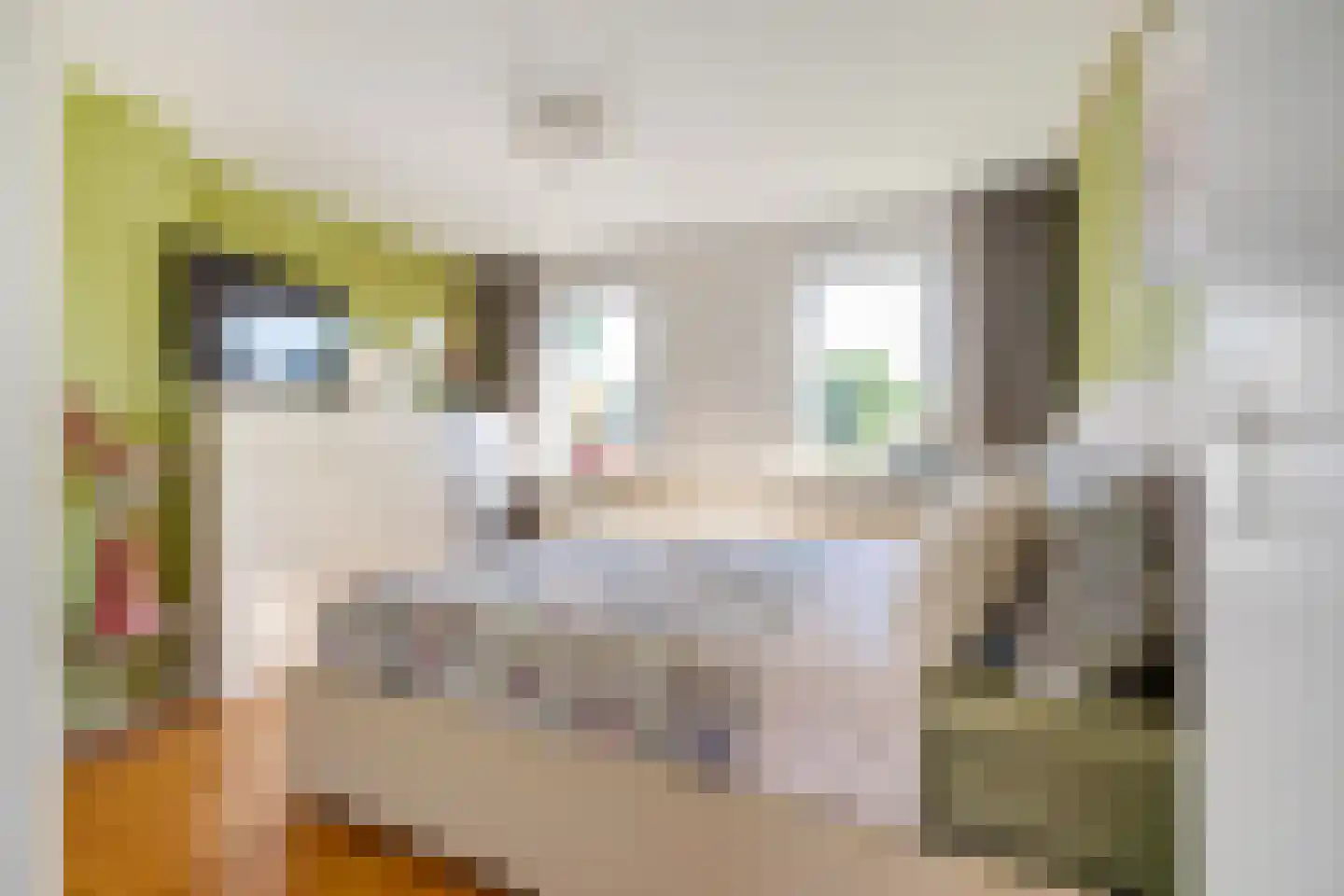Leiloof 4 Gieten thumbnail 29