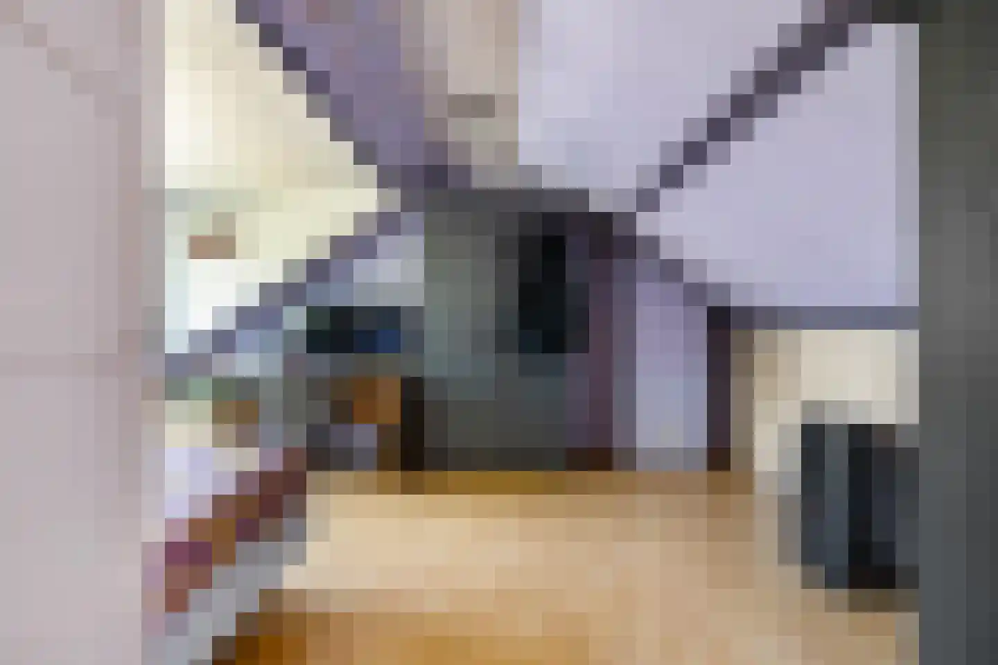Leiloof 4 Gieten thumbnail 38