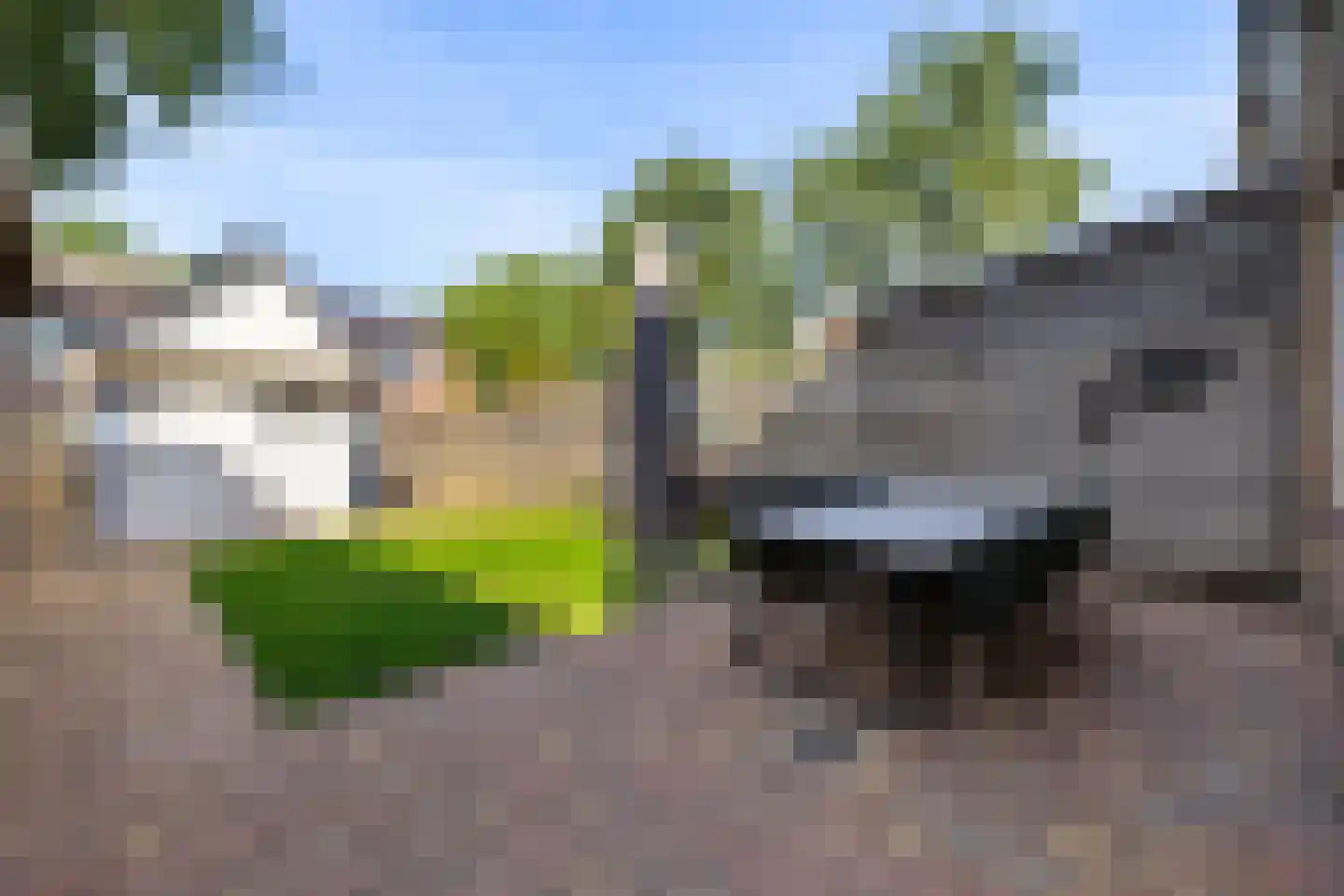 Leiloof 4 Gieten thumbnail 41