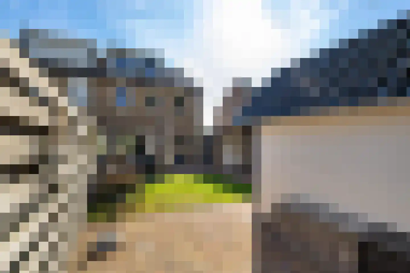 Leiloof 4 Gieten thumbnail 44