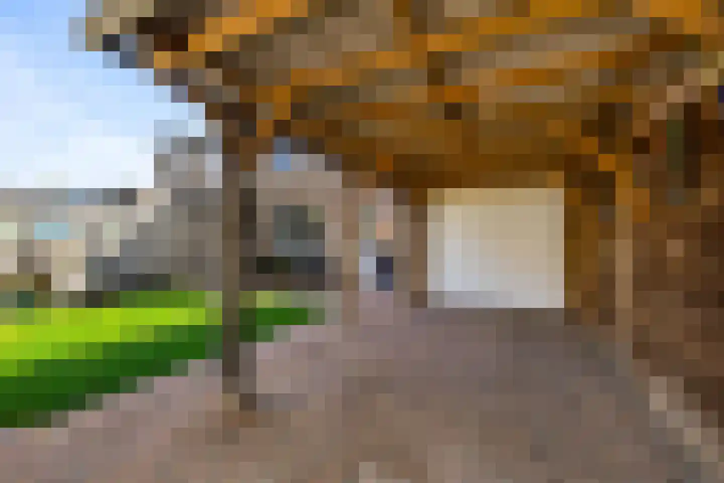 Leiloof 4 Gieten thumbnail 47