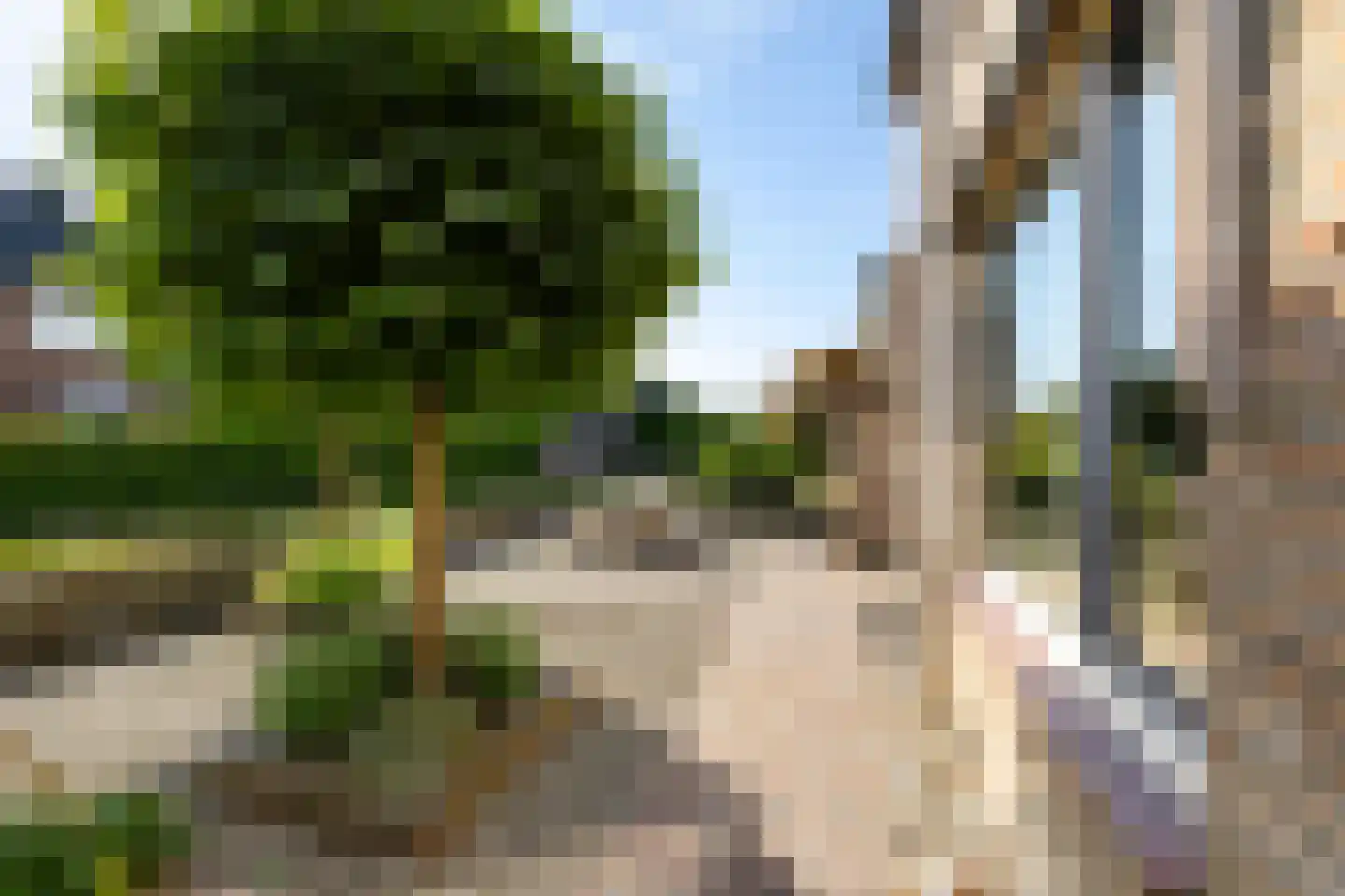 Leiloof 4 Gieten thumbnail 49