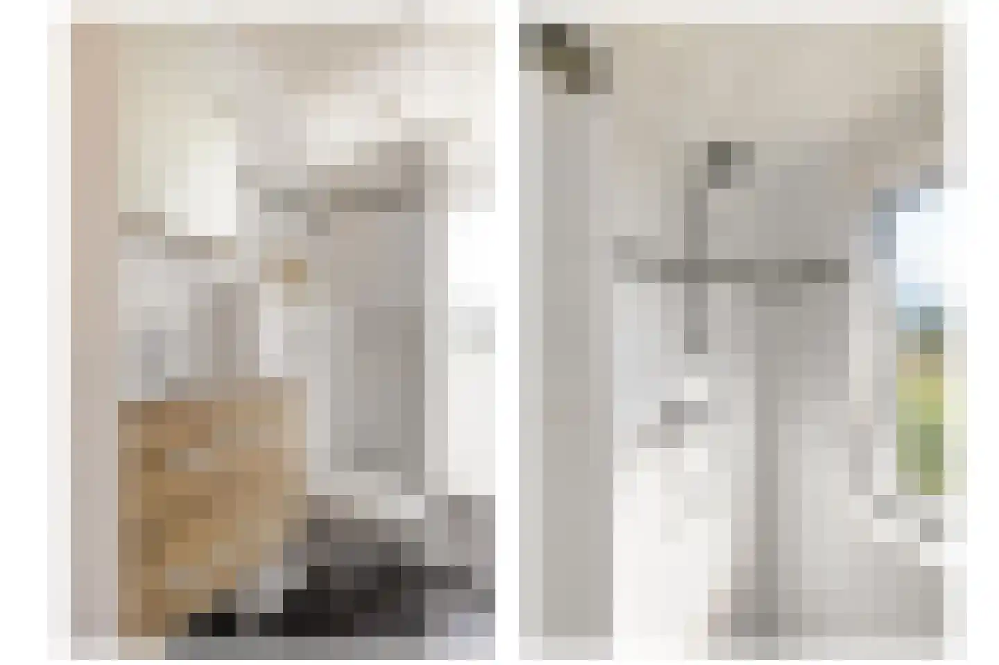 Leiloof 4 Gieten thumbnail 5