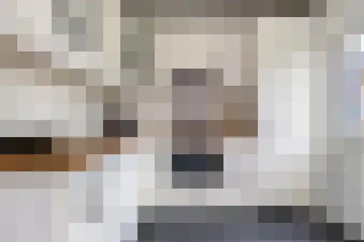 Leiloof 8 Gieten thumbnail 12
