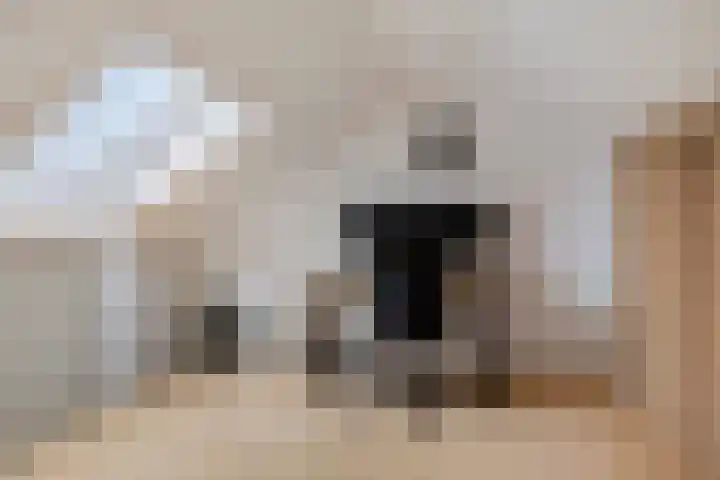 Leiloof 8 Gieten thumbnail 27