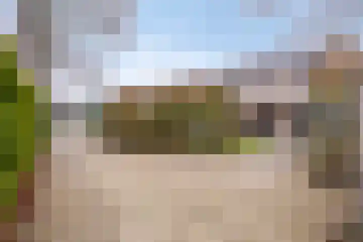 Leiloof 8 Gieten thumbnail 32