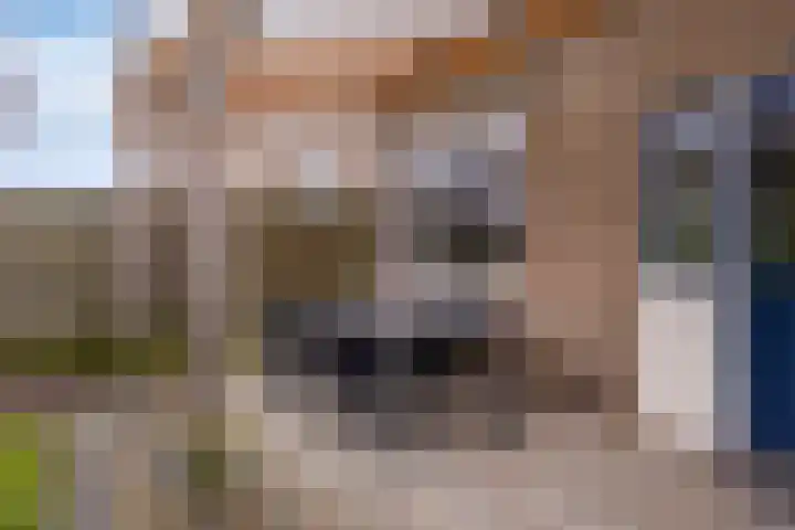 Leiloof 8 Gieten thumbnail 35