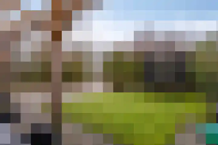 Leiloof 8 Gieten thumbnail 36