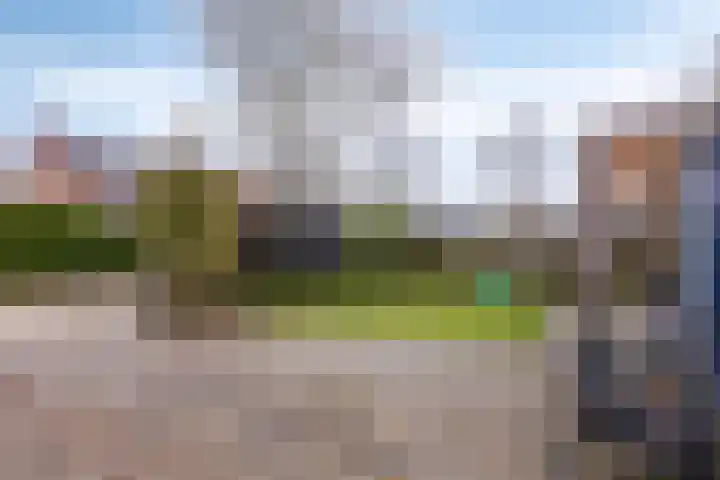 Leiloof 8 Gieten thumbnail 37