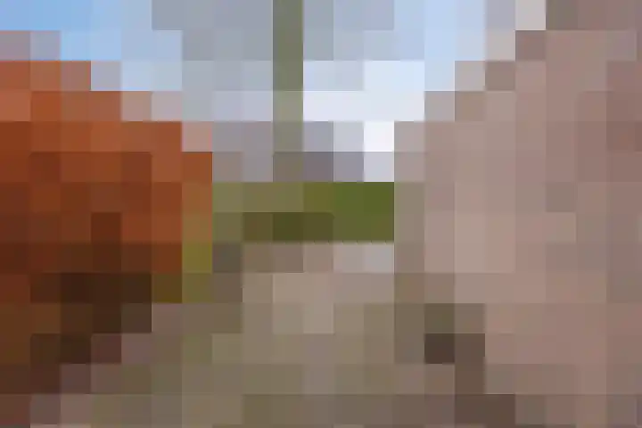 Leiloof 8 Gieten thumbnail 38