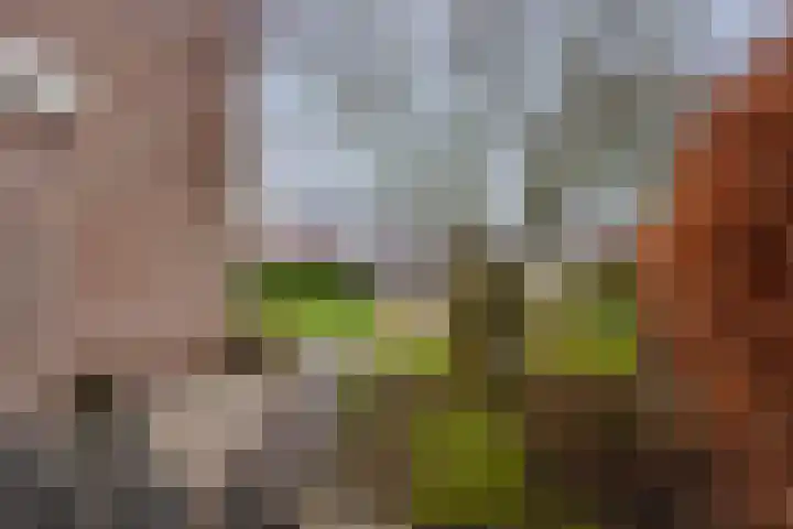Leiloof 8 Gieten thumbnail 39
