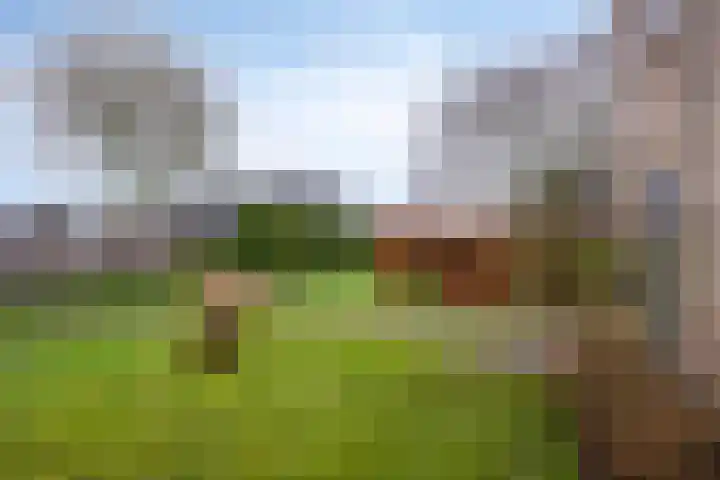 Leiloof 8 Gieten thumbnail 4