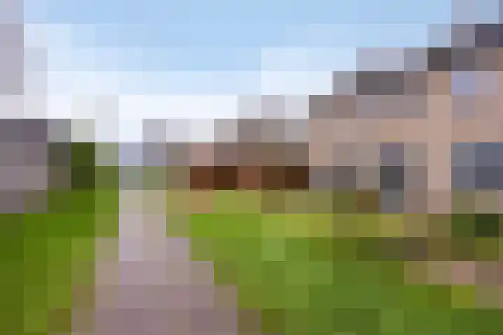 Leiloof 8 Gieten thumbnail 41