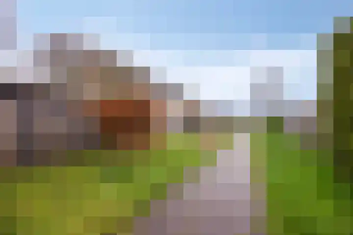 Leiloof 8 Gieten thumbnail 42