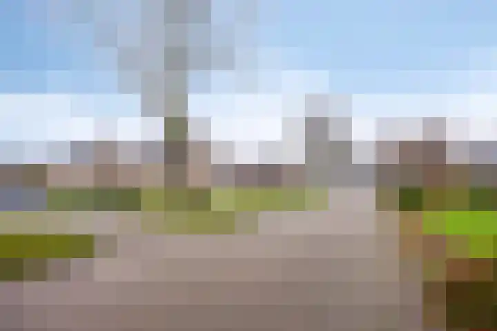 Leiloof 8 Gieten thumbnail 43