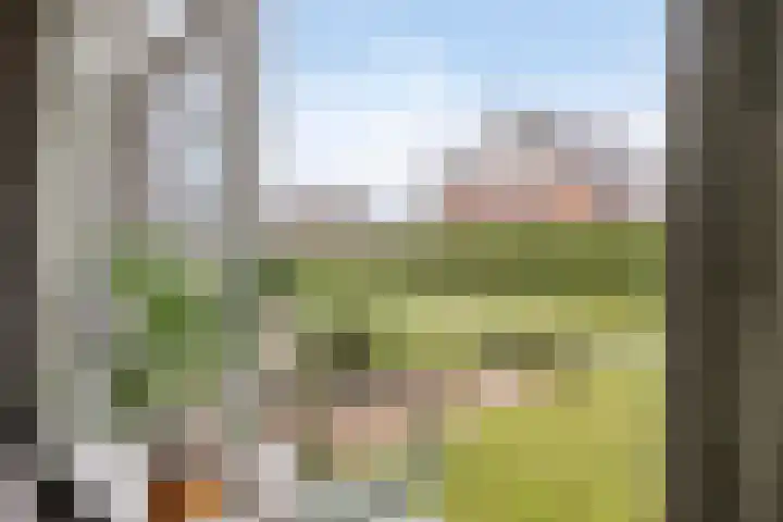 Leiloof 8 Gieten thumbnail 8