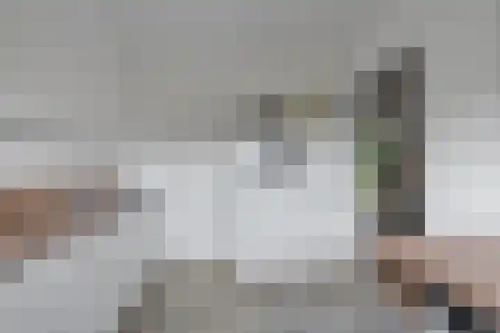 Leimuidenplaats 206 Arnhem thumbnail 10
