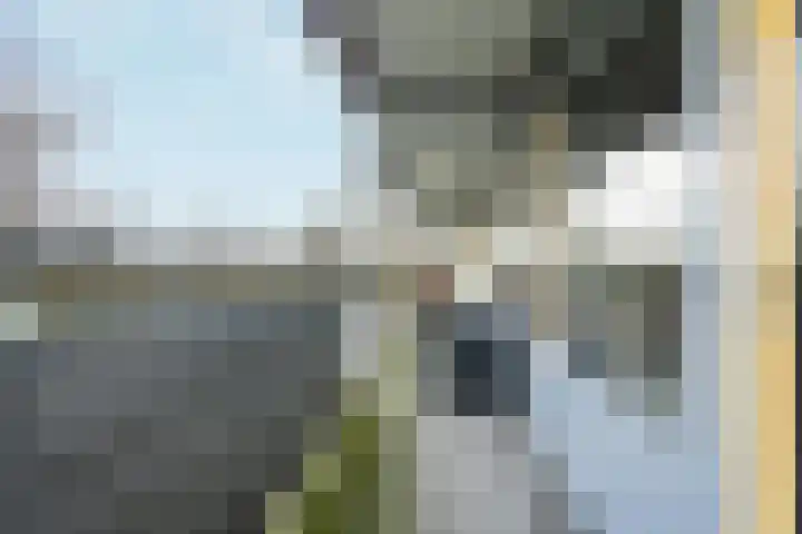Leimuidenplaats 206 Arnhem thumbnail 23