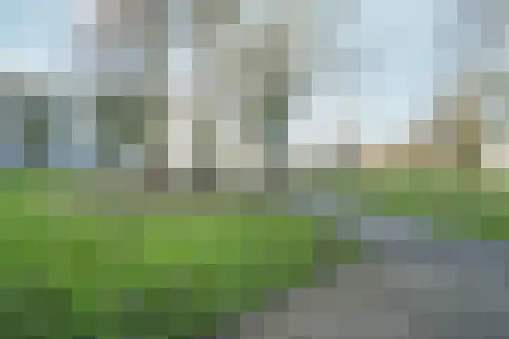 Leimuidenplaats 206 Arnhem thumbnail 25