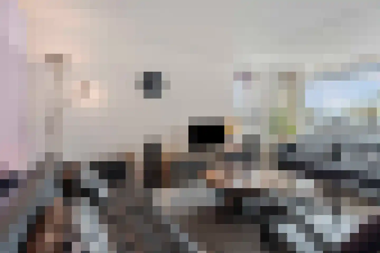 Leimuidenplaats 37 Arnhem thumbnail 4