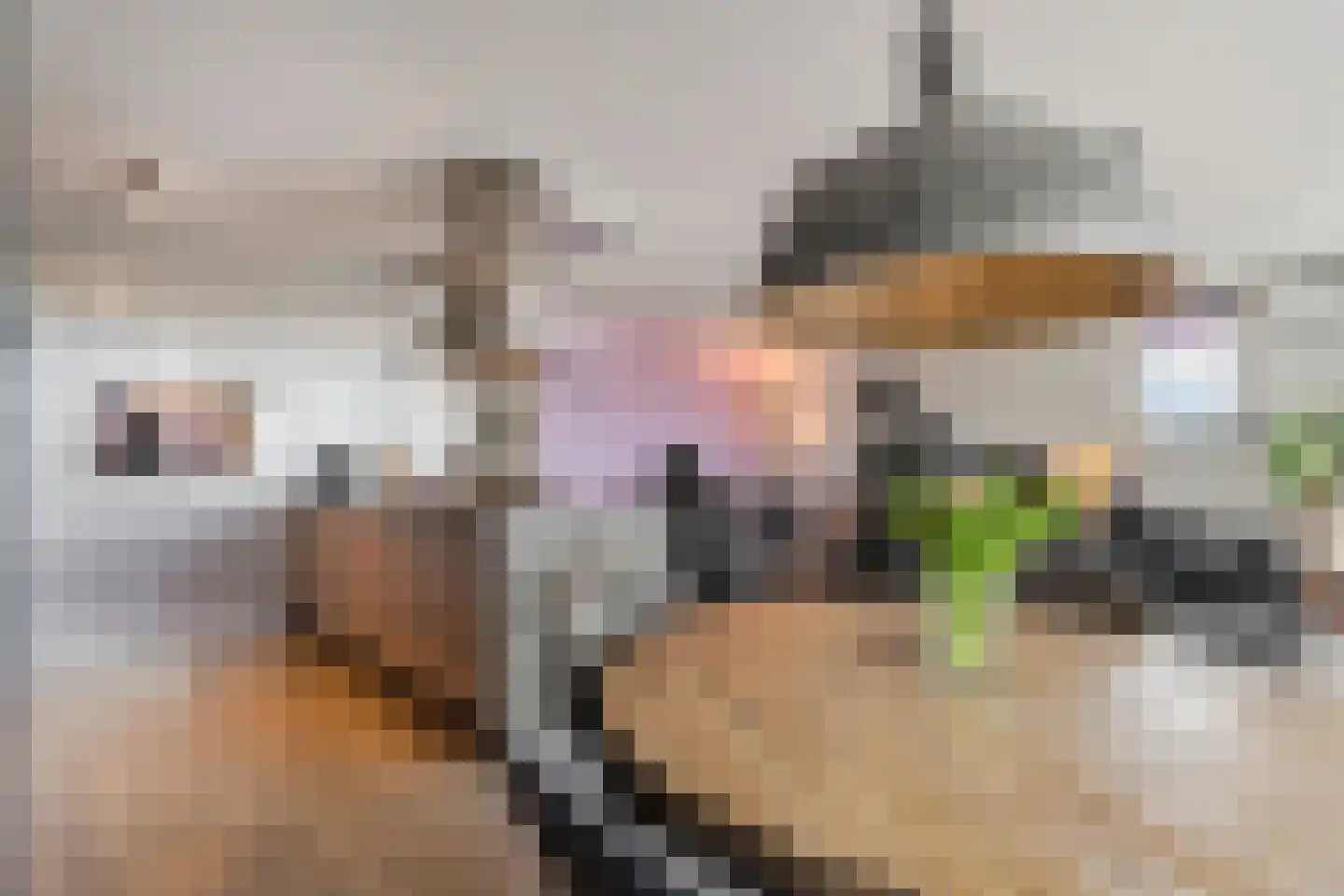 Leimuidenplaats 37 Arnhem thumbnail 8