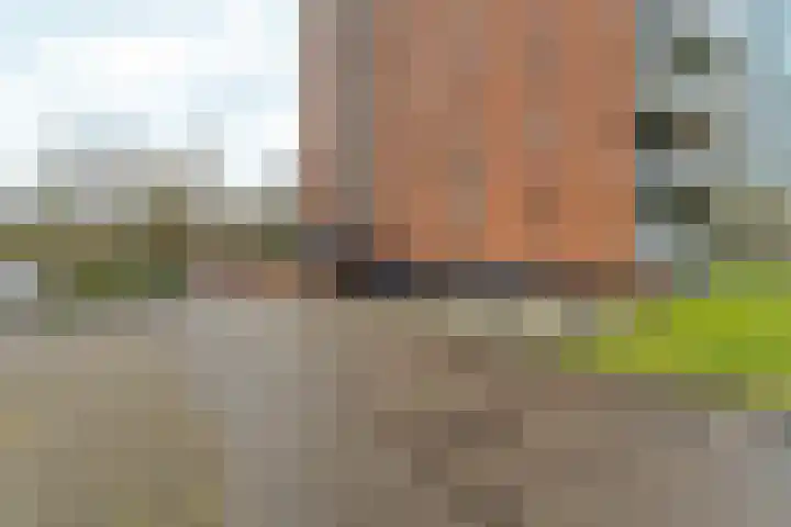 Leimuidenplaats 39 Arnhem thumbnail 24