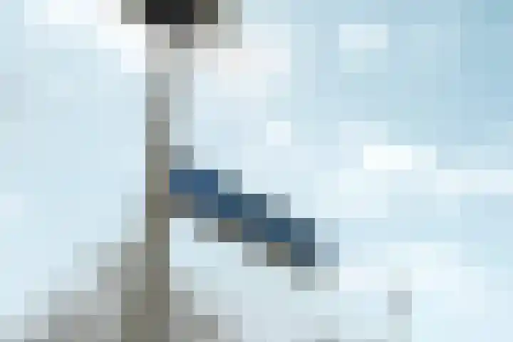 Leimuidenplaats 39 Arnhem thumbnail 27